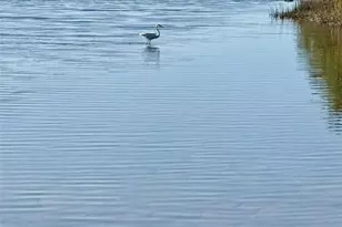 75 Ocean Palm Villa S, Flagler Beach, FL 32136 - Photo 21