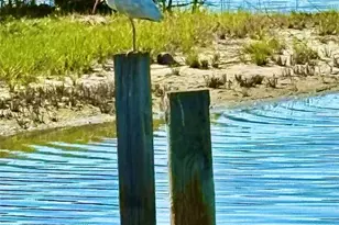 75 Ocean Palm Villa S, Flagler Beach, FL 32136 - Photo 15