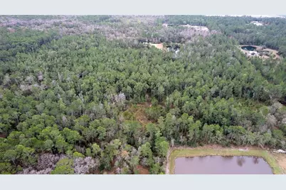 4405 State Road 206 W, Elkton, FL 32033 - Photo 15