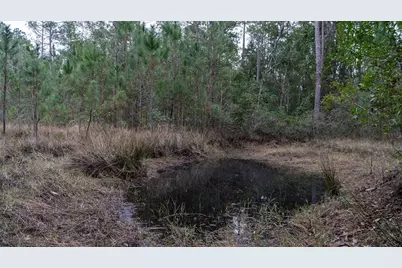 4405 State Road 206 W, Elkton, FL 32033 - Photo 11