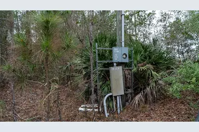 4405 State Road 206 W, Elkton, FL 32033 - Photo 7