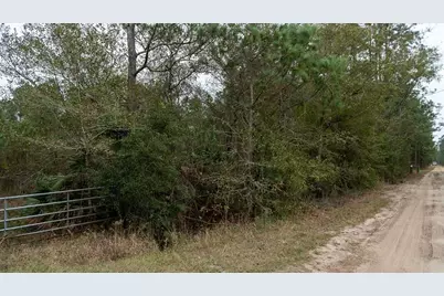 4405 State Road 206 W, Elkton, FL 32033 - Photo 5