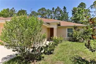 53 Pine Haven Dr, Palm Coast, FL 32164 - Photo 3