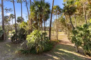 6 Greenbriar Ct, Palm Coast, FL 32137 - Photo 31