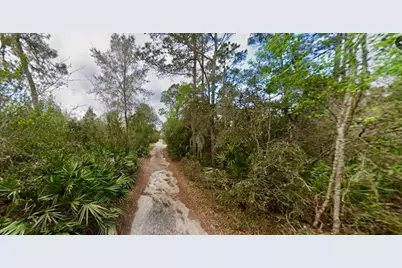 31217 Lorine Street, Deland, FL 32720 - Photo 3