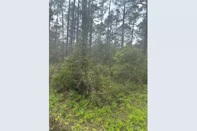 4205 Regina Street, Hastings, FL 32145 - Photo 5