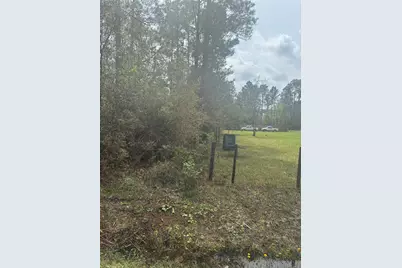 4205 Regina Street, Hastings, FL 32145 - Photo 3