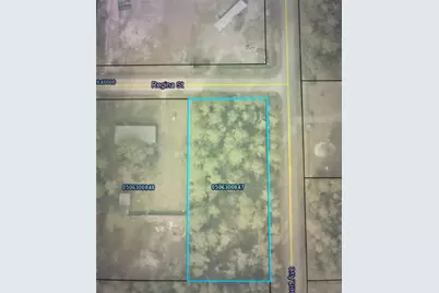 4205 Regina Street, Hastings, FL 32145 - Photo 1