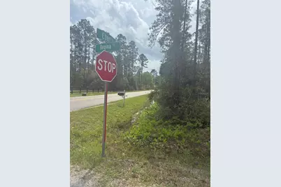 4205 Regina Street, Hastings, FL 32145 - Photo 1