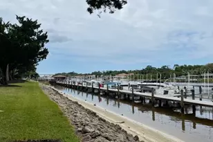 100 Canopy Walk Ln, Palm Coast, FL 32137 - Photo 45