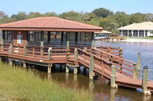 100 Canopy Walk Ln, Palm Coast, FL 32137 - Photo 43