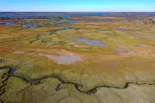 252 Gull Cir, Ponte Vedra, FL 32082 - Photo 81