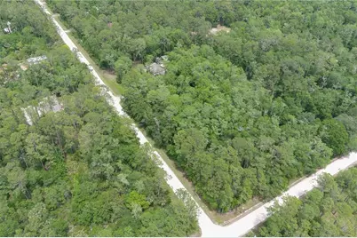 1823 Honeytree Street, Bunnell, FL 32110 - Photo 5