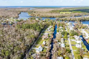 56320 Cherry Tree Rd, Astor, FL 32102 - Photo 13