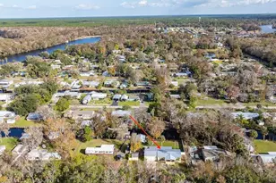 56320 Cherry Tree Rd, Astor, FL 32102 - Photo 9