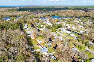 56320 Cherry Tree Rd, Astor, FL 32102 - Photo 11