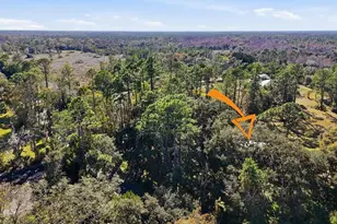 404 Old Haw Creek Rd, Bunnell, FL 32110 - Photo 43