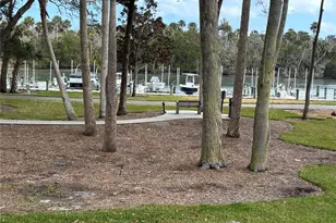 100 Canopy Walk Ln, Palm Coast, FL 32137 - Photo 33