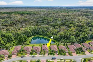 51 Graham Woods Pl, Palm Coast, FL 32137 - Photo 59