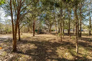 11053 Mulberry Landing Annex, Hilliard, FL 32046 - Photo 91