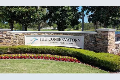 259 Conservatory Drive, Palm Coast, FL 32137 - Photo 33