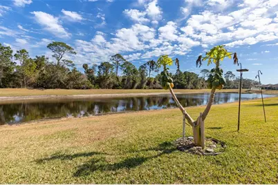 69 Heron Drive, Palm Coast, FL 32137 - Photo 53