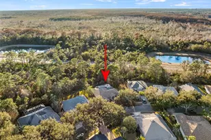 6 Ibis Ct N, Palm Coast, FL 32137 - Photo 43