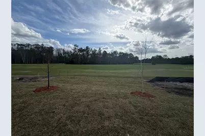 44 Mulligan Way, Bunnell, FL 32110 - Photo 37