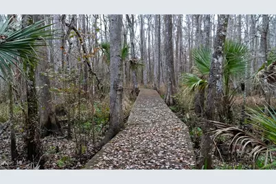 155 Fran Lane, Satsuma, FL 32189 - Photo 9