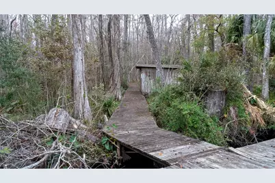 155 Fran Lane, Satsuma, FL 32189 - Photo 17