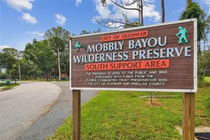 317 Shore Dr E, Oldsmar, FL 34677 - Photo 39