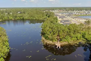 43 Willow St, Palm Coast, FL 32164 - Photo 47