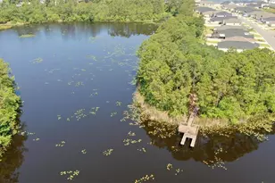 43 Willow St, Palm Coast, FL 32164 - Photo 49