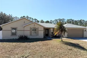 45 Reidsville Dr, Palm Coast, FL 32164 - Photo 1
