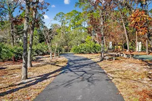 33 Lakepoint Cir, Port Orange, FL 32128 - Photo 49