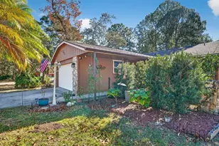 33 Lakepoint Cir, Port Orange, FL 32128 - Photo 33