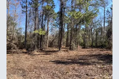 1881 Hazelnut Street, Bunnell, FL 32110 - Photo 3