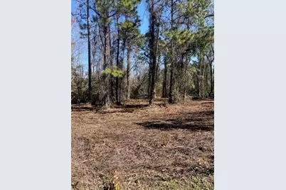 1881 Hazelnut Street, Bunnell, FL 32110 - Photo 5