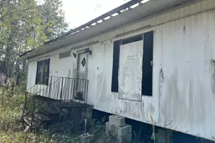 1516 Avocado Blvd, Bunnell, FL 32110 - Photo 3