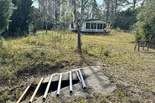 1516 Avocado Blvd, Bunnell, FL 32110 - Photo 1