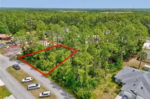 14 Union Run Ct, Palm Coast, FL 32164 - Photo 1