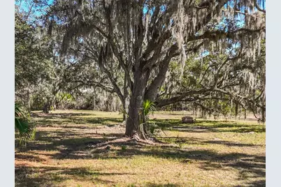 Xxxx Favoretta Road, Bunnell, FL 32110 - Photo 7