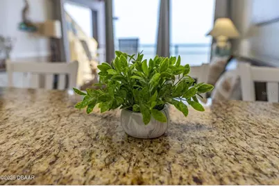 2301 S Atlantic Avenue #524, Daytona Beach, FL 32118 - Photo 17