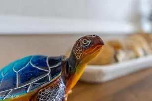 2301 S Atlantic Ave, Daytona Beach, FL 32118 - Photo 11