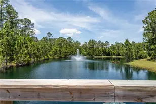 18 Bogey Pl, Bunnell, FL 32110 - Photo 31