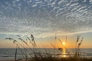 55 Vining Ct, Ormond Beach, FL 32176 - Photo 27