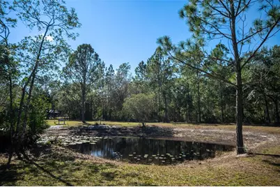 20963 E Colonial Drive, Christmas, FL 32709 - Photo 33