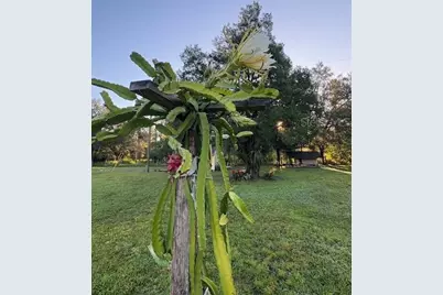 20963 E Colonial Drive, Christmas, FL 32709 - Photo 49