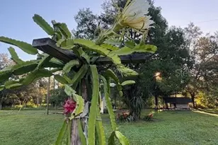 20963 E Colonial Dr, Christmas, FL 32709 - Photo 49