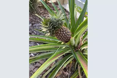 20963 E Colonial Drive, Christmas, FL 32709 - Photo 47